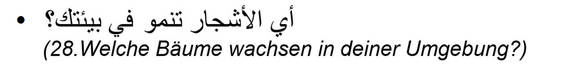 arabisch_28_Baeume.png  